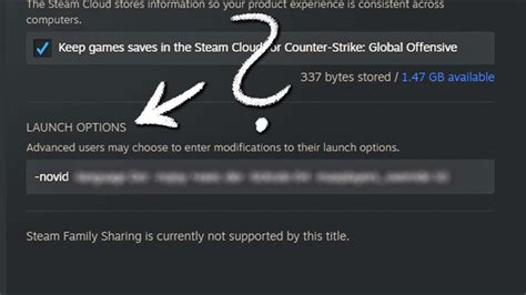 poe steam launch options exe is located